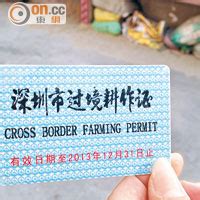 深圳市過境耕作證 書櫃畫法